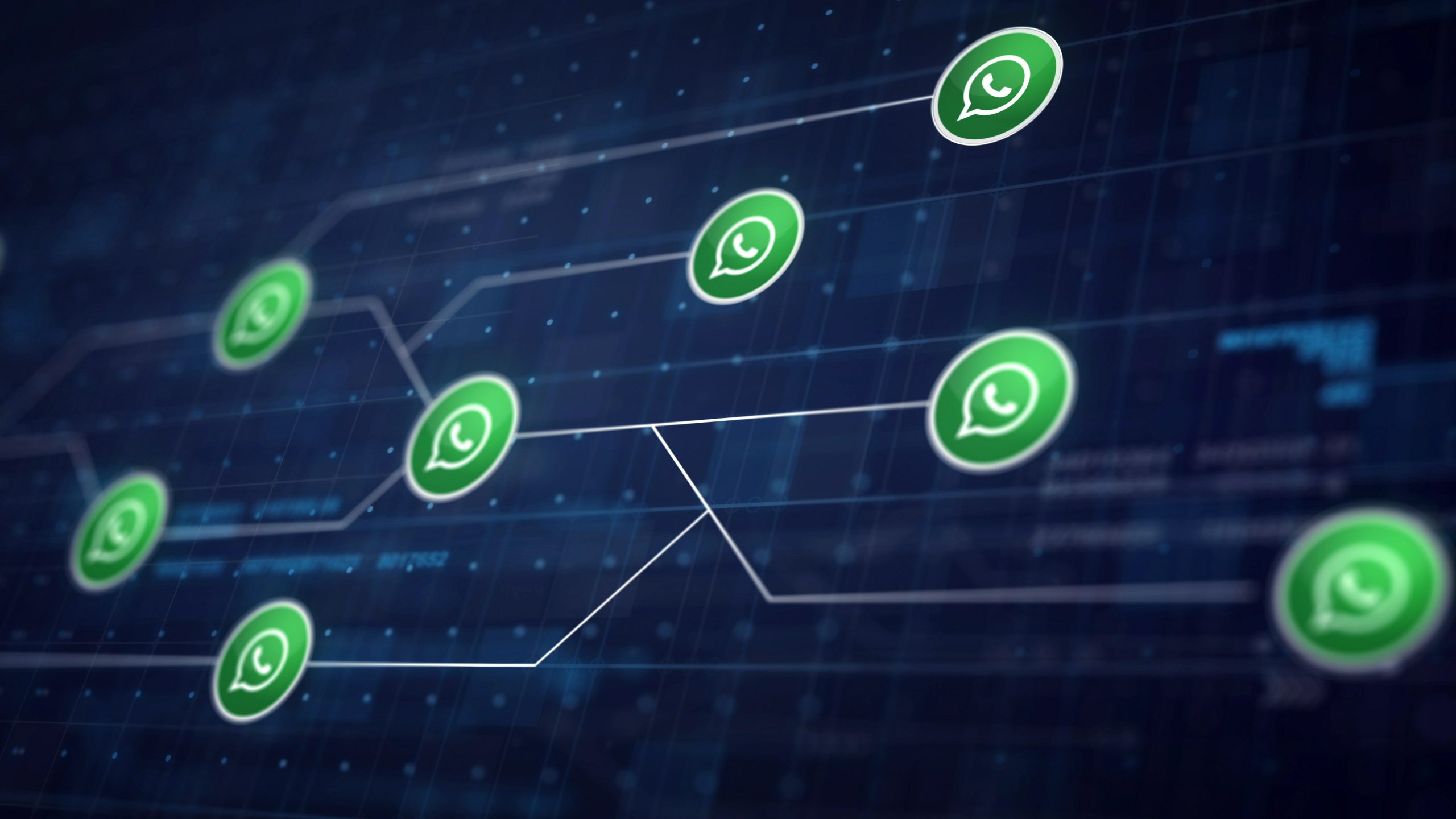 whatsapp licenziamento insulti